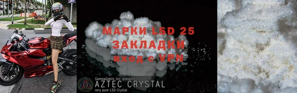 индика Аркадак