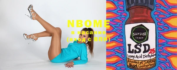 индика Аркадак