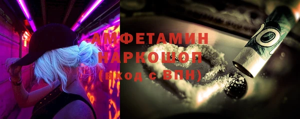индика Аркадак