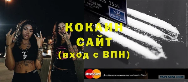индика Аркадак