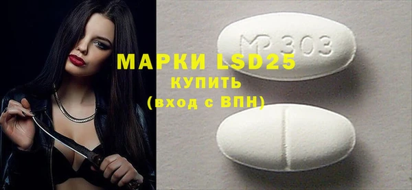 индика Аркадак