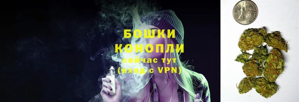 Альфа ПВП Нея
