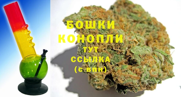 Альфа ПВП Нея
