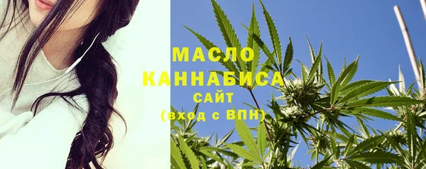 индика Аркадак